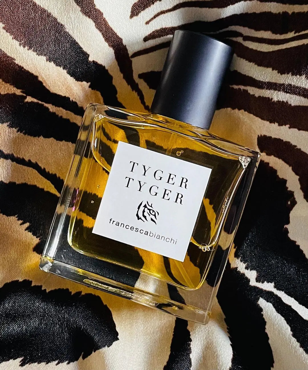 Tyger Tyger Francesca Bianchi