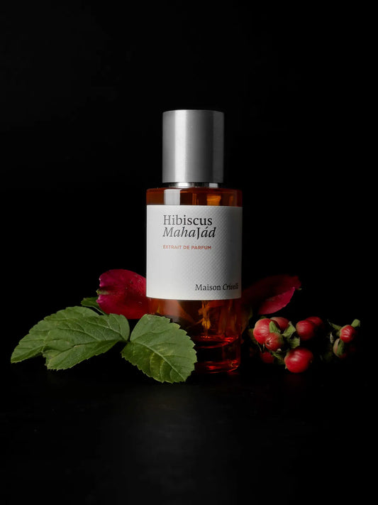 Hibiscus Mahajád Maison Crivelli